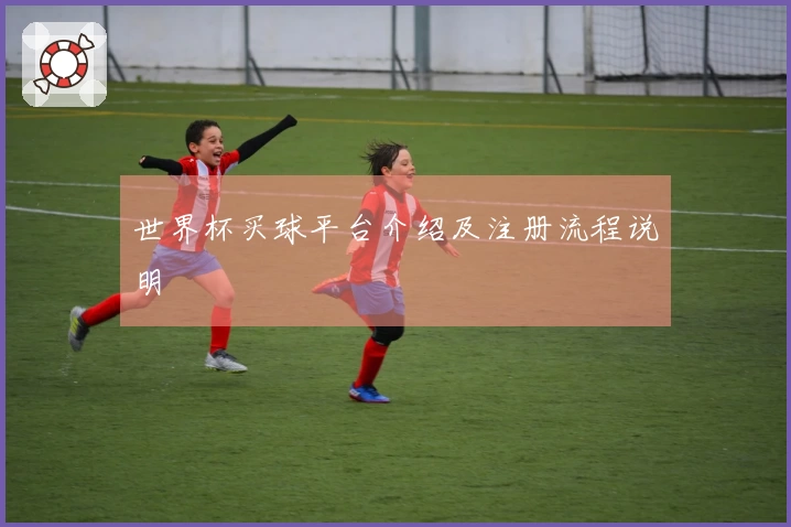 世界杯买球平台介绍及注册流程说明