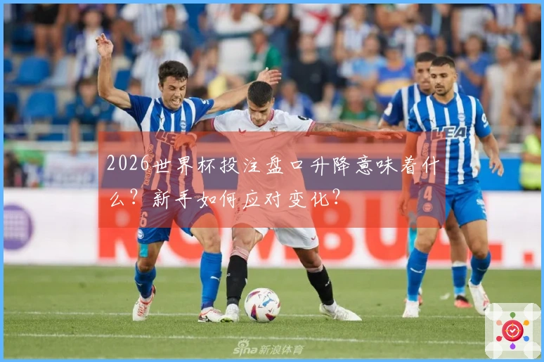 2026世界杯投注盘口升降意味着什么？新手如何应对变化？