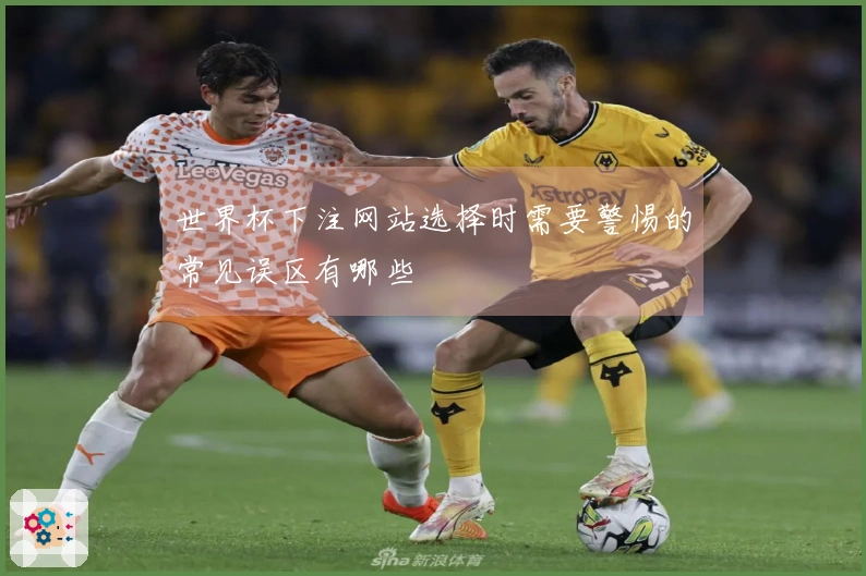 世界杯下注网站选择时需要警惕的常见误区有哪些