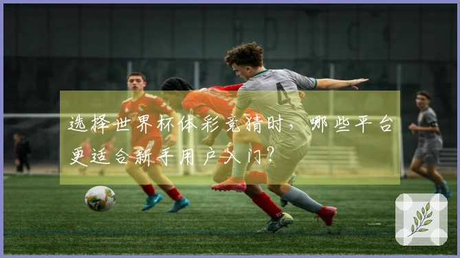 选择世界杯体彩竞猜时,哪些平台更适合新手用户入门?