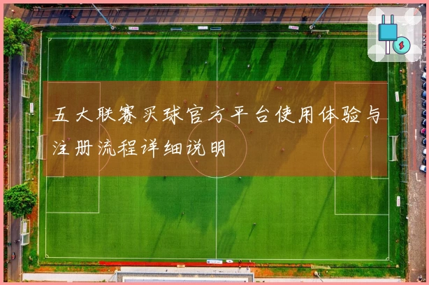 五大联赛买球官方平台使用体验与注册流程详细说明