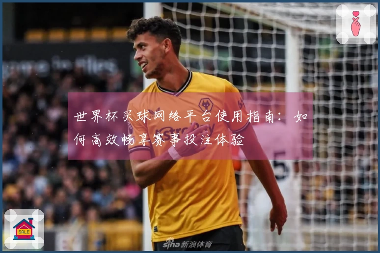 世界杯买球网络平台使用指南：如何高效畅享赛事投注体验