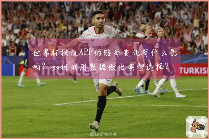 世界杯投注APP的赔率变化有什么影响？如何利用数据做出明智选择？