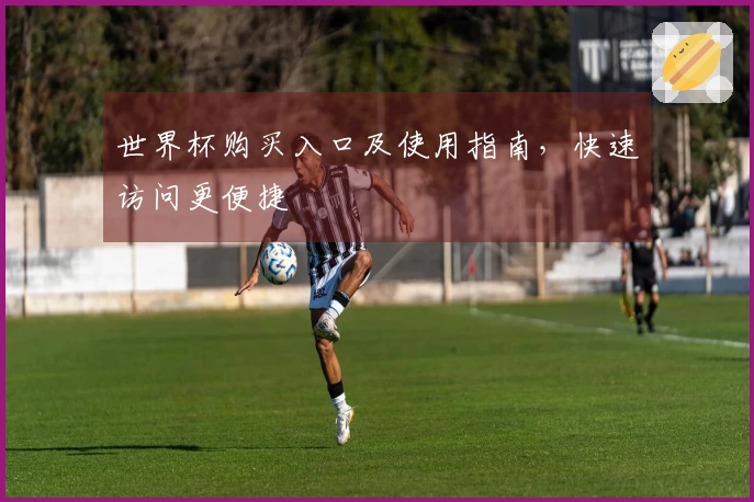 世界杯购买入口及使用指南，快速访问更便捷