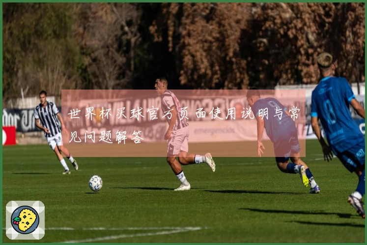 世界杯买球官方页面使用说明与常见问题解答