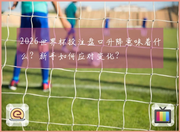 2026世界杯投注盘口升降意味着什么？新手如何应对变化？
