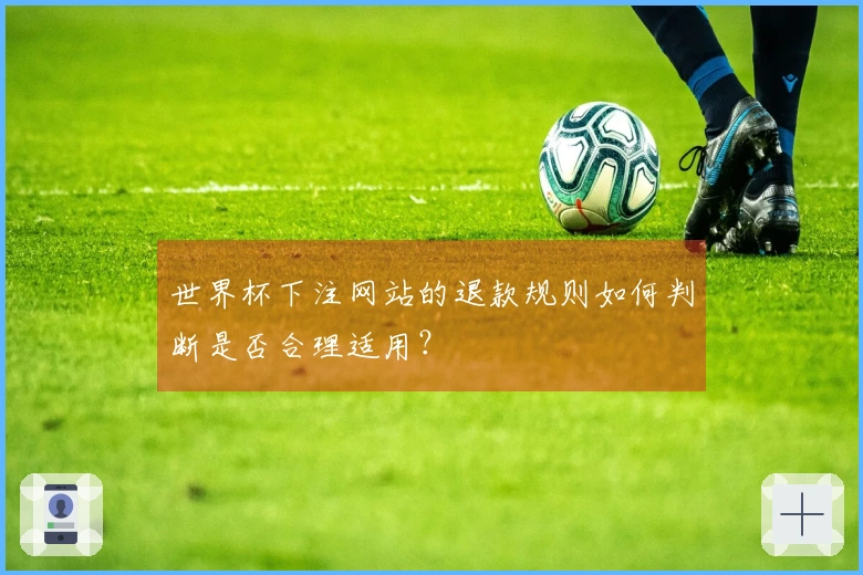 世界杯下注网站的退款规则如何判断是否合理适用？