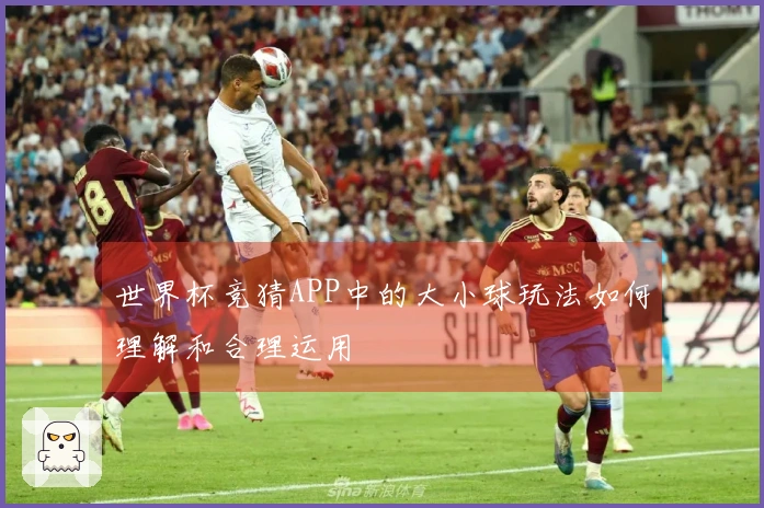 世界杯竞猜APP中的大小球玩法如何理解和合理运用