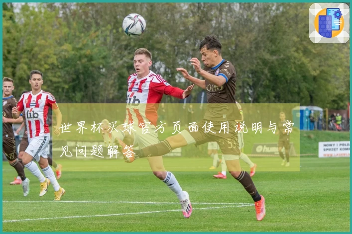 世界杯买球官方页面使用说明与常见问题解答