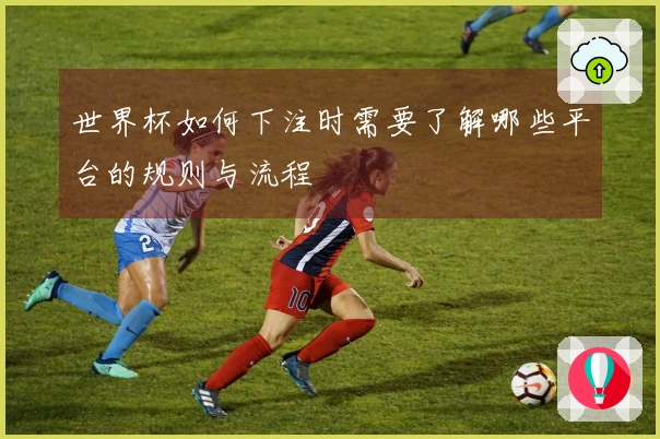 世界杯如何下注时需要了解哪些平台的规则与流程