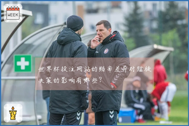 世界杯投注网站的赔率差异对赌徒决策的影响有哪些？