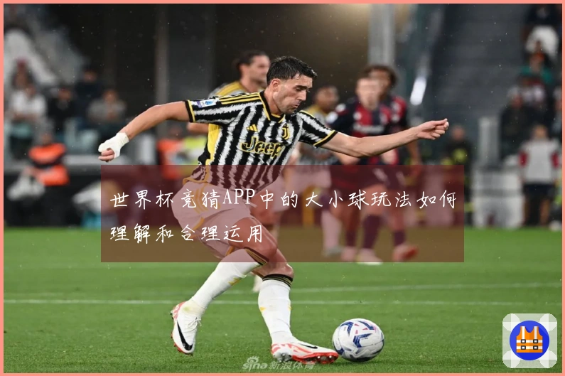 世界杯竞猜APP中的大小球玩法如何理解和合理运用