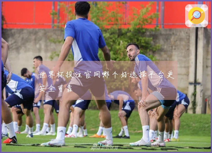 世界杯投注官网哪个好选择平台更安全可靠