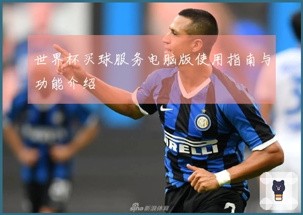 世界杯买球服务电脑版使用指南与功能介绍