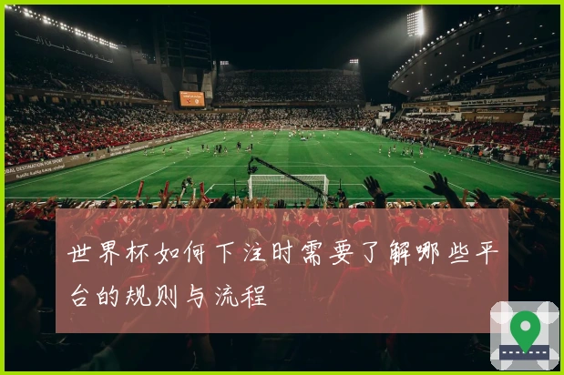 世界杯如何下注时需要了解哪些平台的规则与流程