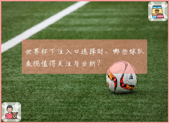 世界杯下注入口选择时，哪些球队表现值得关注与分析？