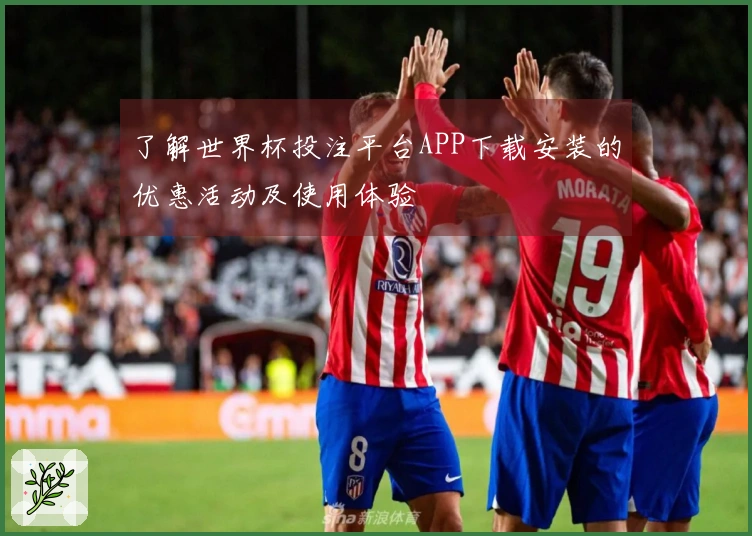了解世界杯投注平台APP下载安装的优惠活动及使用体验 안내
