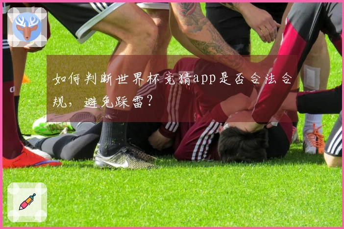 如何判断世界杯竞猜app是否合法合规，避免踩雷？
