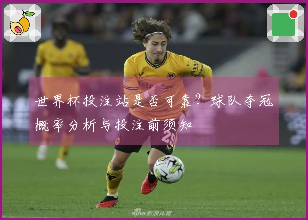 世界杯投注站是否可靠？球队夺冠概率分析与投注前须知