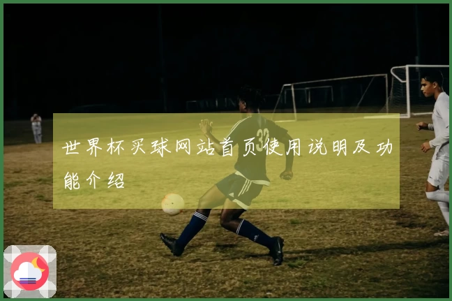 世界杯买球网站首页使用说明及功能介绍
