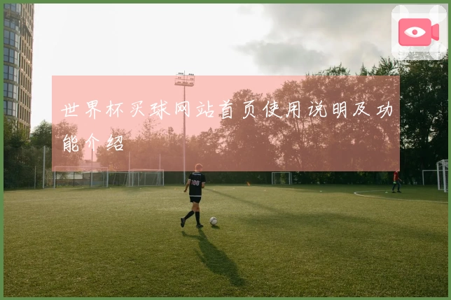 世界杯买球网站首页使用说明及功能介绍