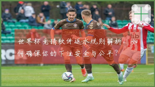 世界杯竞猜软件返水规则解析，如何确保你的下注安全与公平？